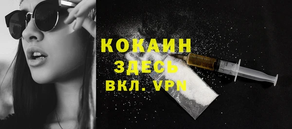 не бодяженный Бородино