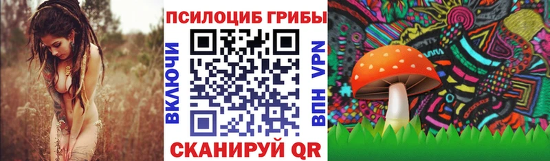 Купить где  Киренск  Псилоцибиновые грибы ЛСД 
